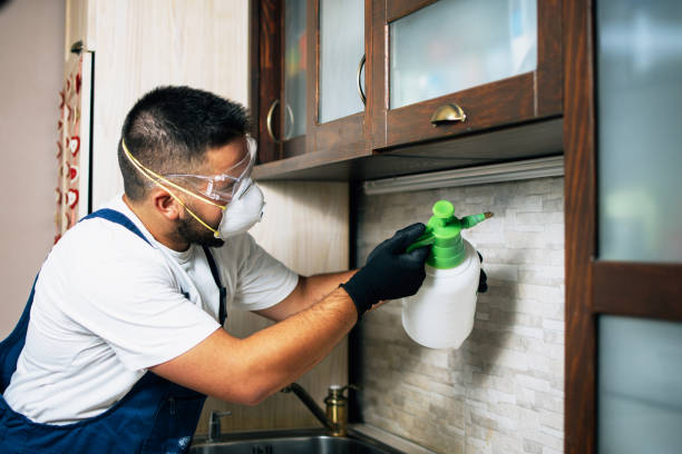 Best Pest Removal Services  in Lakefield, MN