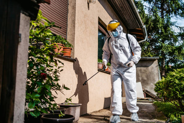 Best Mosquito Control Services  in Lakefield, MN