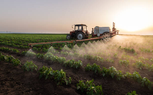 Best Pest Control for Businesses  in Lakefield, MN