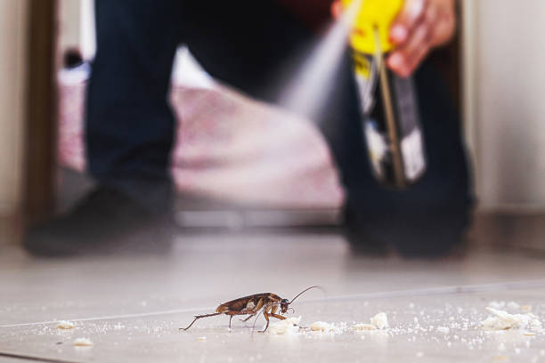 Professional Pest Control in Lakefield, MN