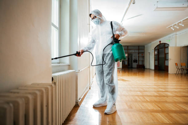 Best Termite Control Services  in Lakefield, MN
