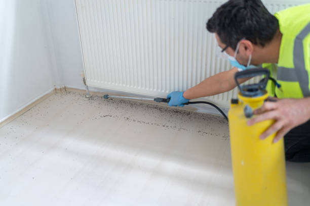 Best Local Pest Control Services  in Lakefield, MN