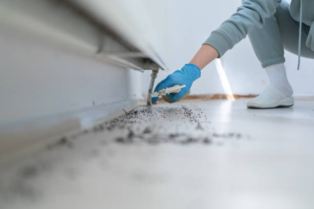 Best Affordable Pest Control Services  in Lakefield, MN